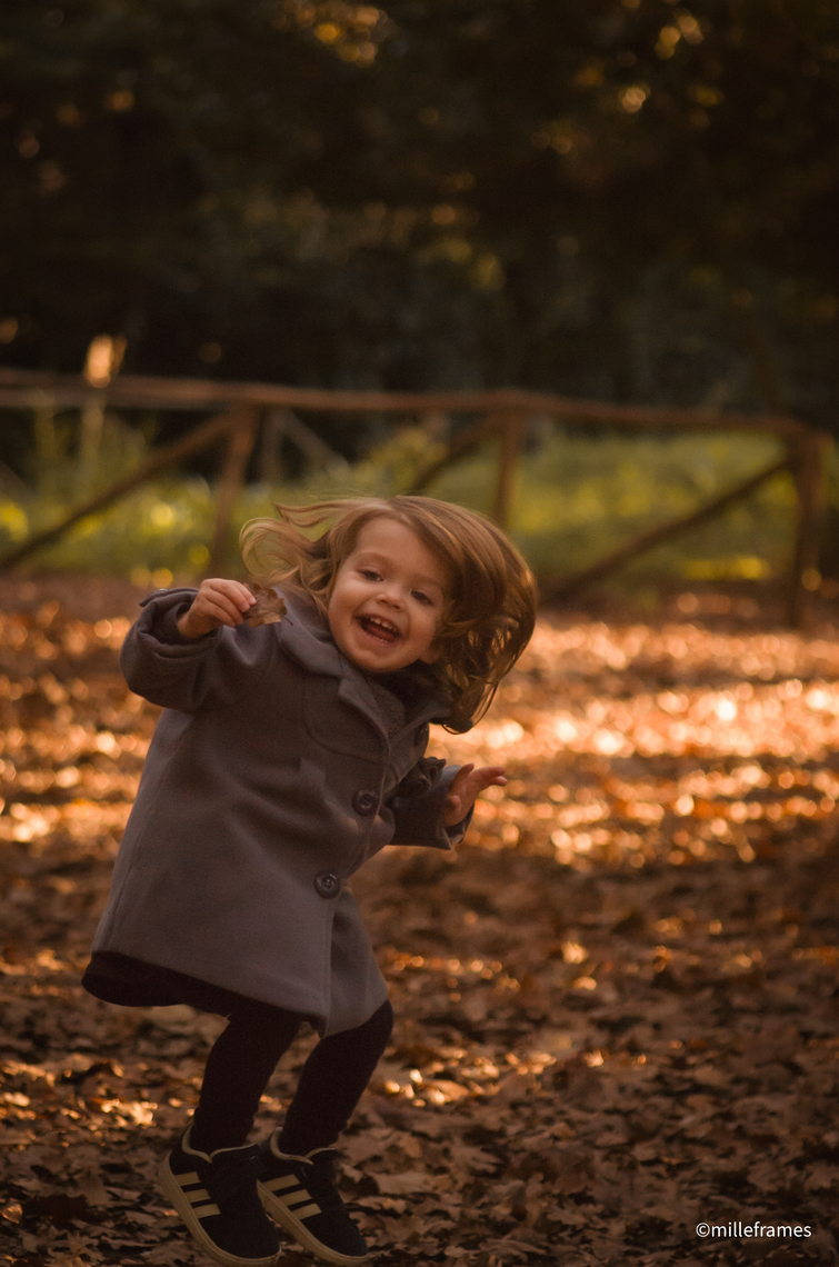 Autumn Light 5