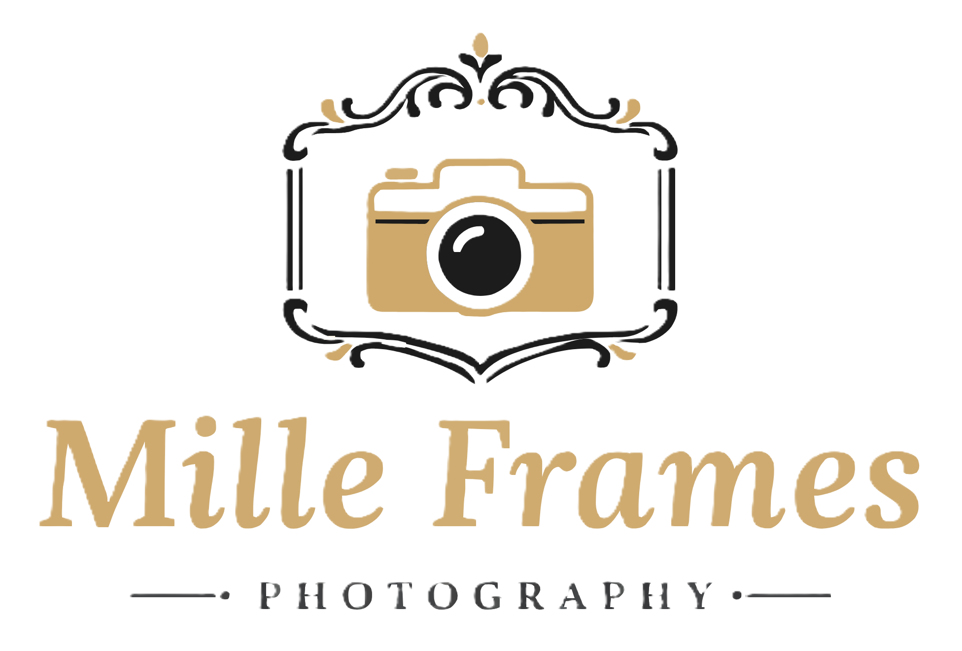 Logo Mille Frames